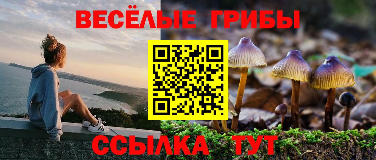 Галлюциногенные грибы GOLDEN TEACHER Истра
