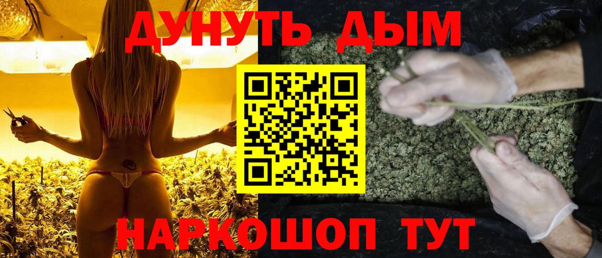 Канабис конопля Истра